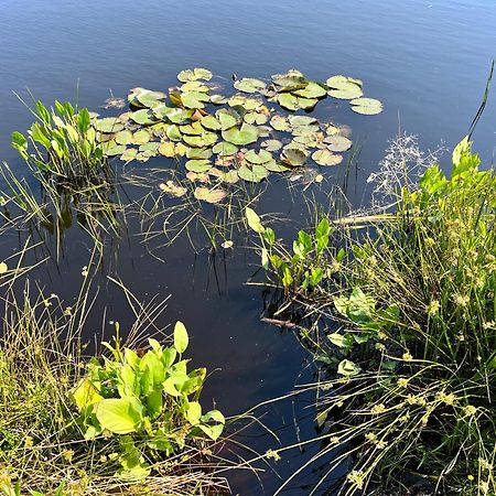 Вилла Landzicht Natuur Rust En Ruimte Остервольде Экстерьер фото