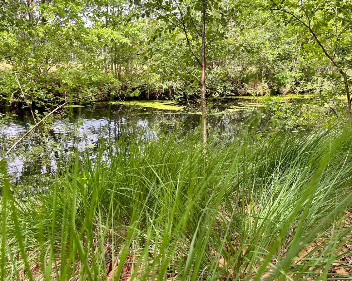 Вилла Landzicht Natuur Rust En Ruimte Остервольде Экстерьер фото