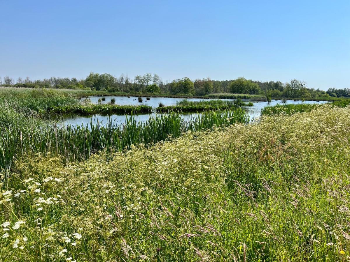 Вилла Landzicht Natuur Rust En Ruimte Остервольде Экстерьер фото