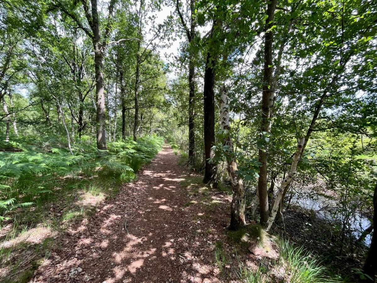 Вилла Landzicht Natuur Rust En Ruimte Остервольде Экстерьер фото