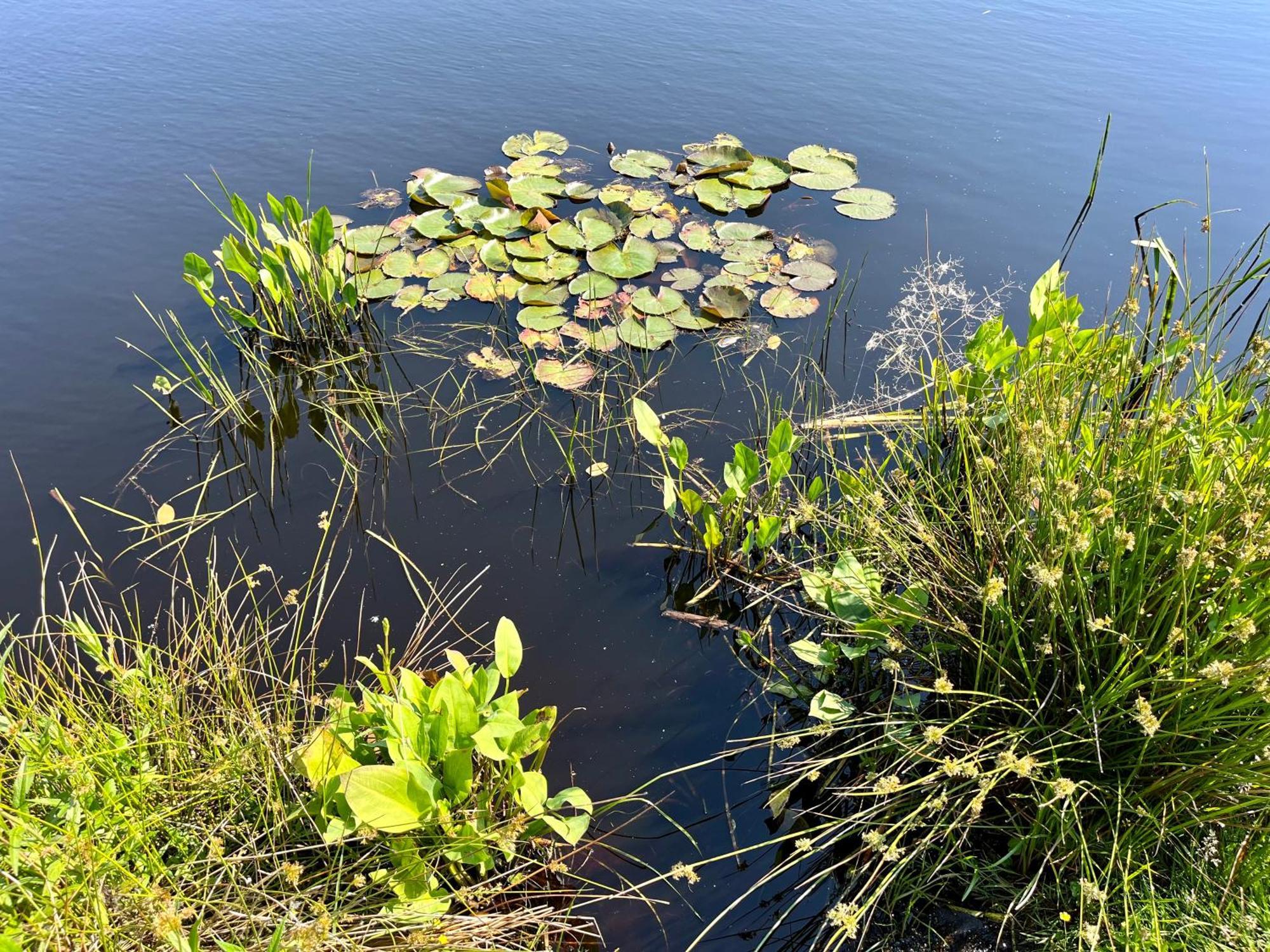 Вилла Landzicht Natuur Rust En Ruimte Остервольде Экстерьер фото