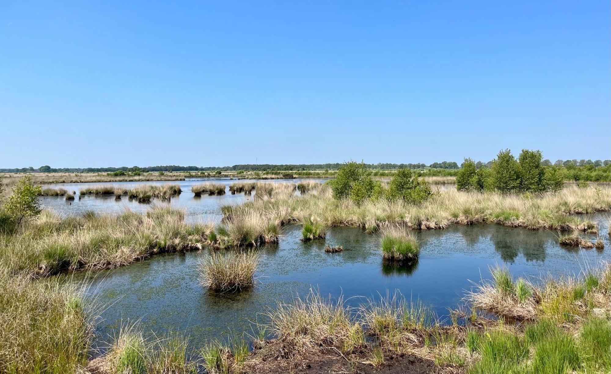 Вилла Landzicht Natuur Rust En Ruimte Остервольде Экстерьер фото