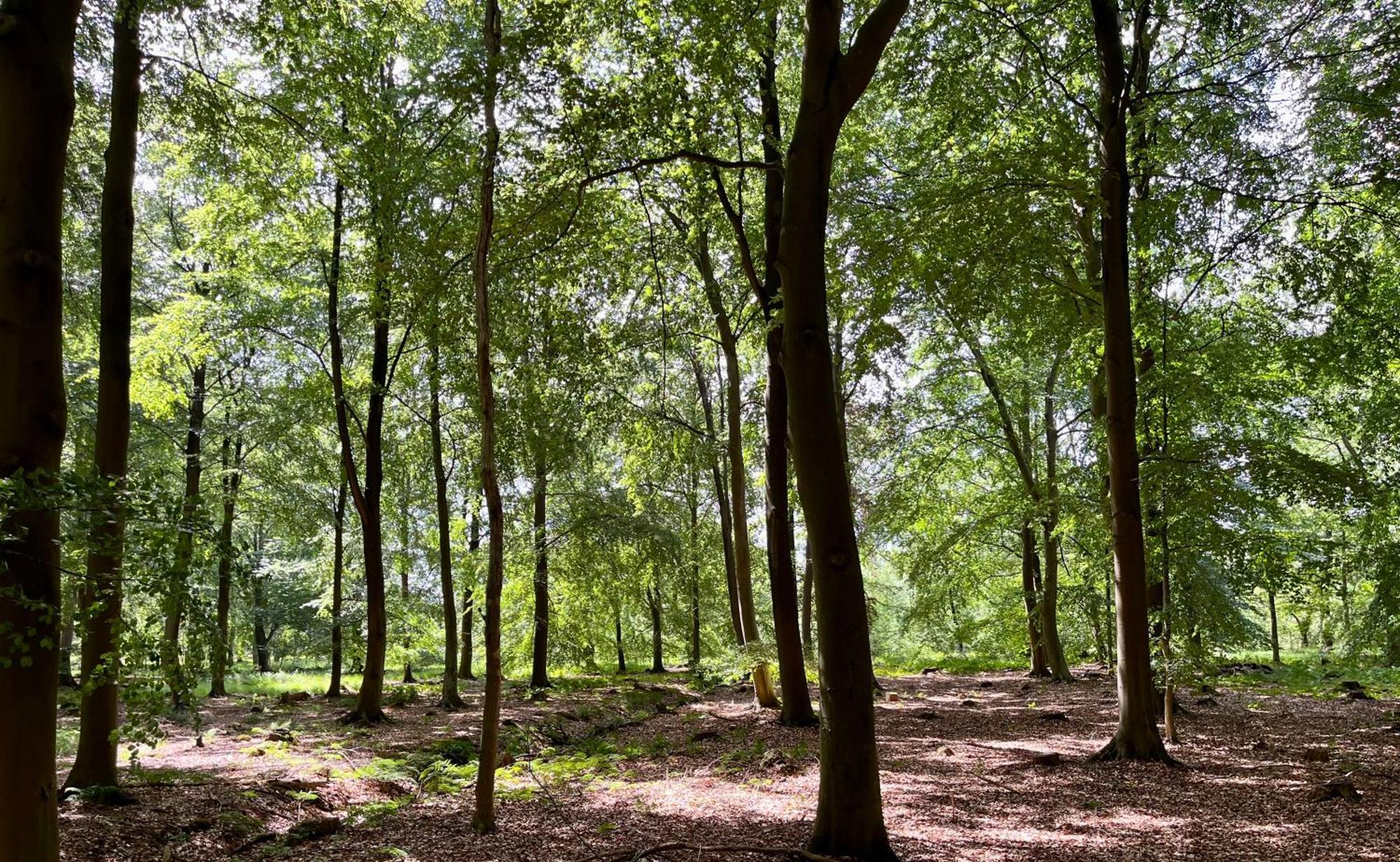 Вилла Landzicht Natuur Rust En Ruimte Остервольде Экстерьер фото